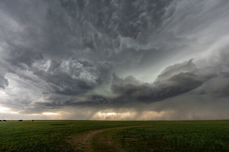 A7406288-HDR.jpg