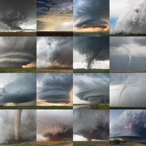 collage_1000px.jpg