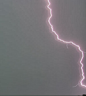 IMG_8840.jpeg