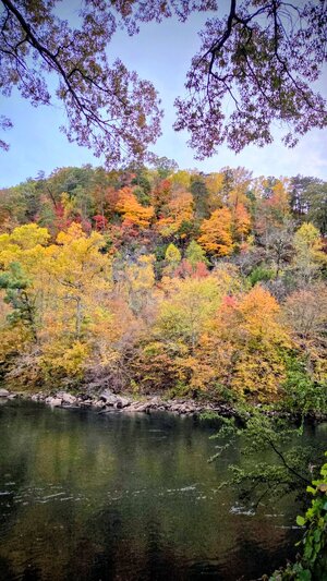 Ocoee-water.jpg