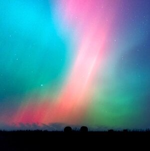 _DSC0350 6.58.03 PM.jpeg _DSC0350 6.58.03 PM.jpeg