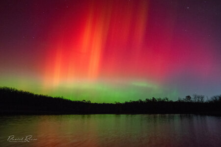 DSC_8605.jpg DSC_8605.jpg