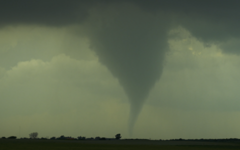 Screenshot 2025-08-12 at 10.29.36 AM.png