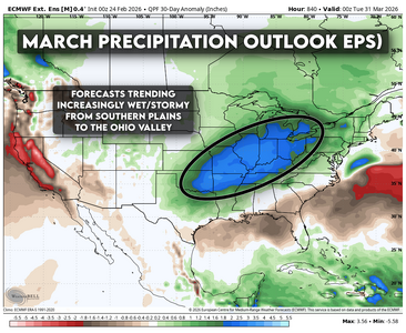 ecmwf-weeklies-avg-conus-qpf_anom_30day-4915200-soh.png