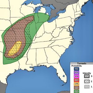 Screenshot 2026-03-06 at 8.56.01 AM.jpeg