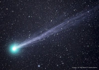 lovejoy q2 big bend-1.jpg