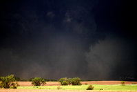 North of FranklinNE-Gene Moore.jpg