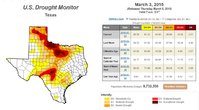 texas.JPG