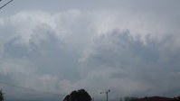 DSC00295.JPG