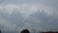 DSC00297.JPG