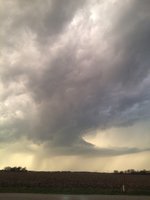 IMG_2440.jpg