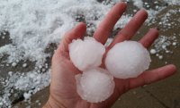 6 Hail in Hand.jpg