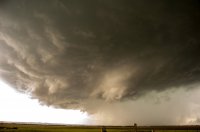 DSC_0133_edited-1.jpg