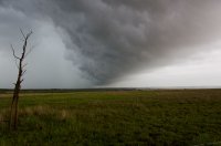 May 16 Sweetwater Shelf 3.jpg