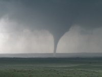 IMG_3506.JPG