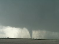 IMG_3510.JPG