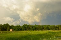 20150607-004.jpg