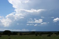 IMG_2768-e.jpg