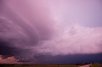 DSC_0344_edited-1.jpg