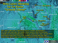grasshopperRadar.gif