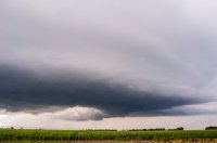 DSC_0146-1_edited-1.jpg