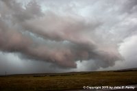 chase81715-3.jpg