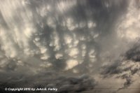 chase81715-11.jpg