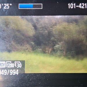 The terrifying moment my camera dangled out my moving vehicle.