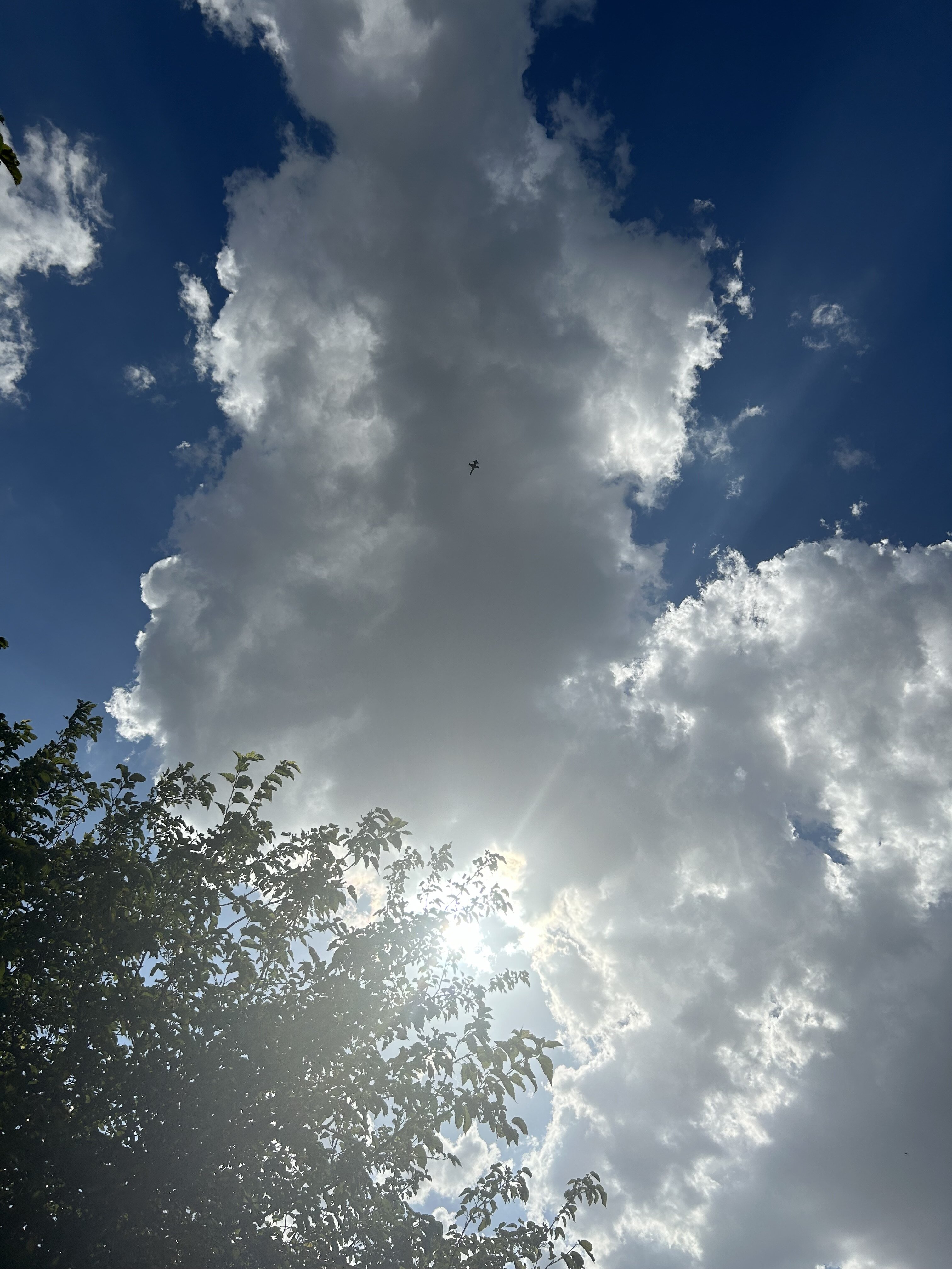 The under side of a cloud