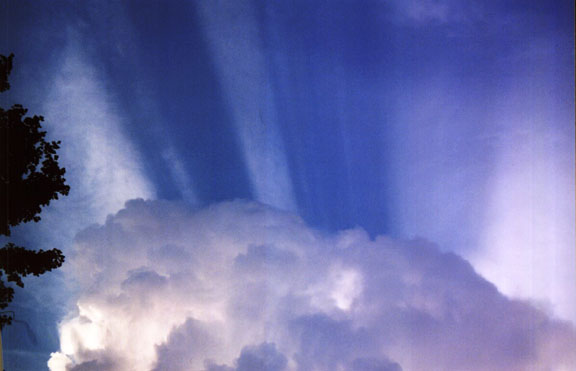 72102_2e.jpg