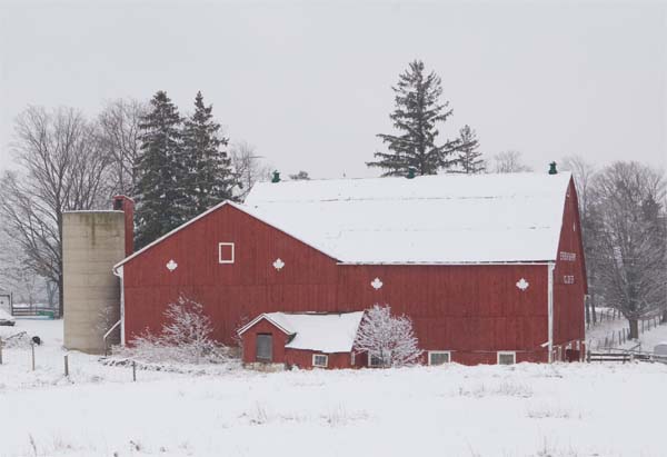 january142008snowbarn.jpg