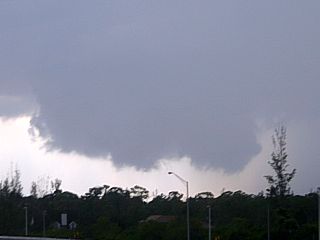 p050607b.jpg