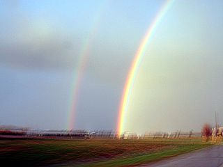 m8rbow.jpg