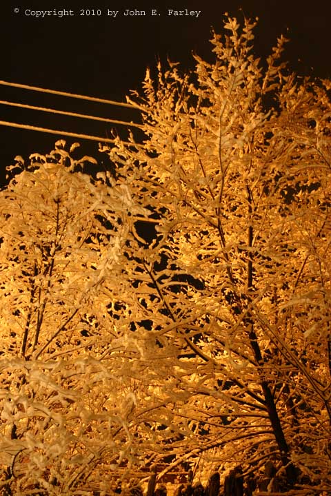 snow20710-2.jpg