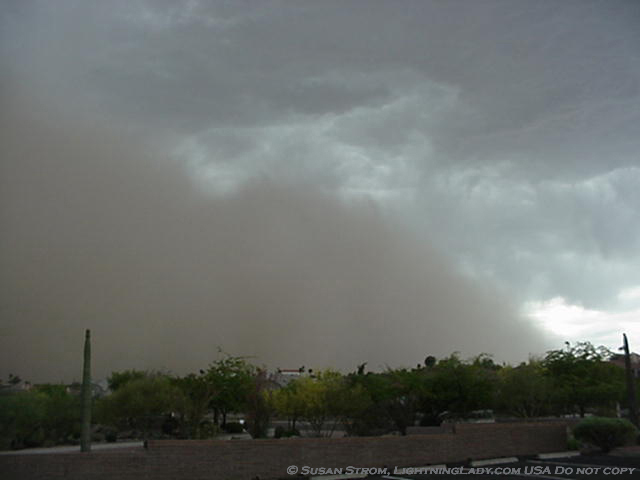 Strom.Sandwall4.28.07.jpg