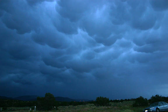 SFMammatus2-c.jpg