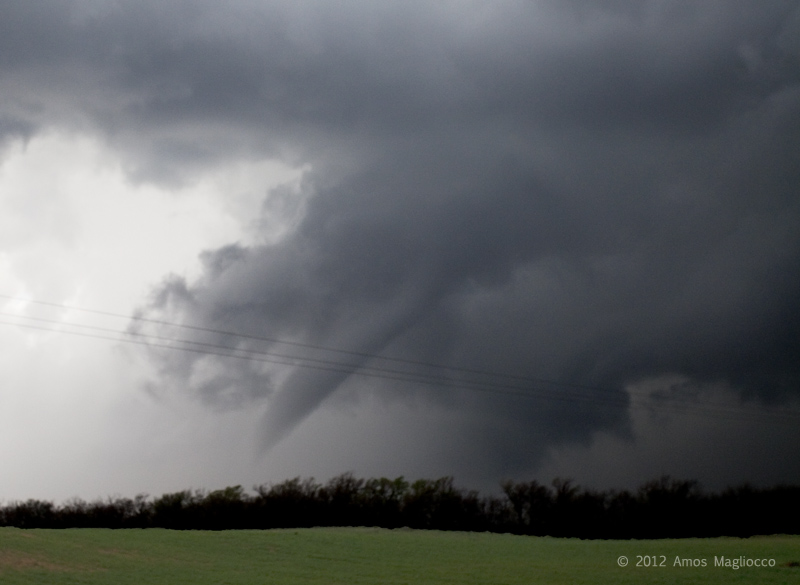 IMG_0059crop1.jpg