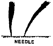 needle.png