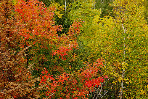 lutsen_colors6.jpg