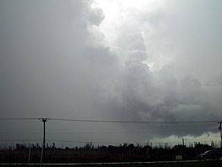 p052409d.jpg
