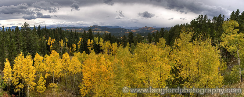 396974982_X6p3q-X3-1.jpg