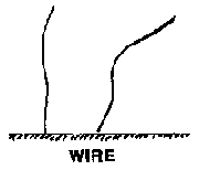 wire.png