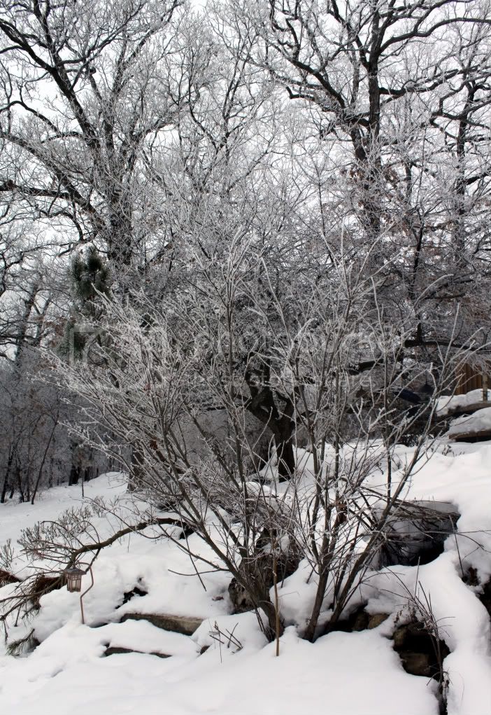 10_01_17_Frost_01.jpg