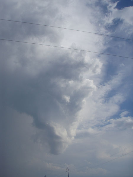 chase61508-3.jpg