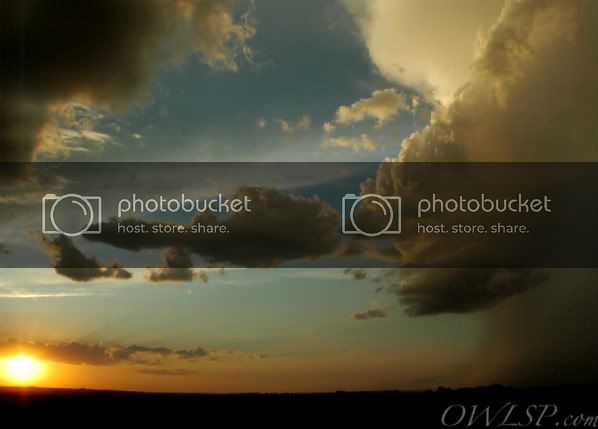 DSC_0145_1-1.jpg