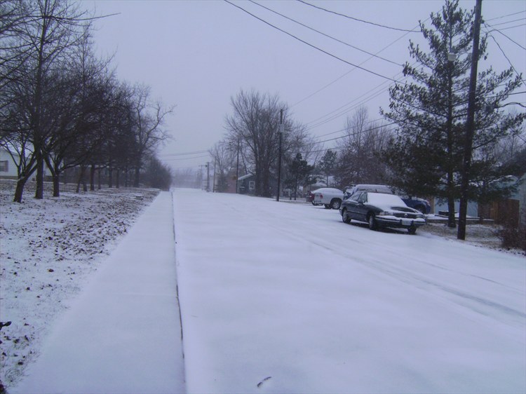 29687150238_large.jpg