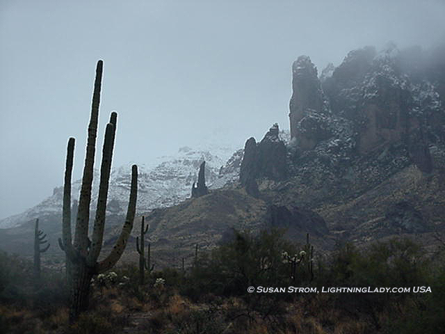 StromLDSaguaro.jpg