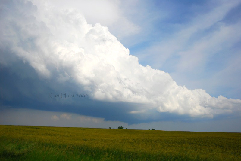 June7_003.jpg