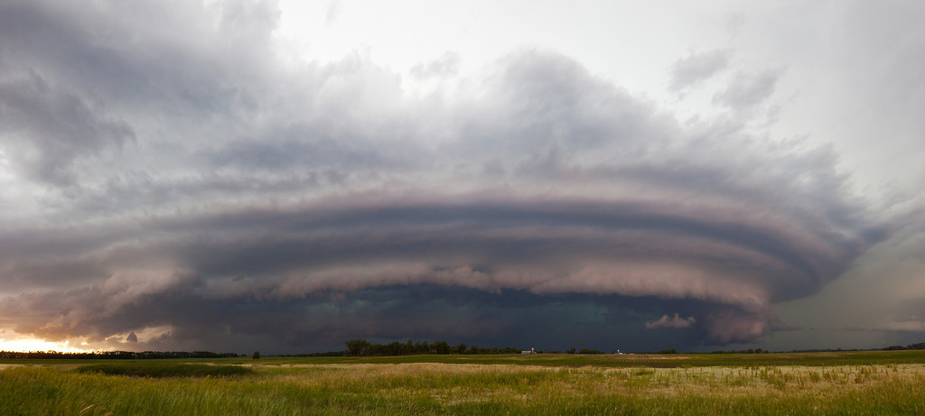 ShelfPano2-XL.jpg