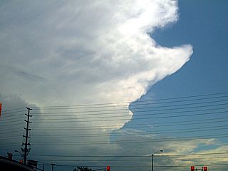 p072609b.jpg